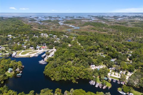 Land in Yankeetown, Florida № 1886494 - photo 10