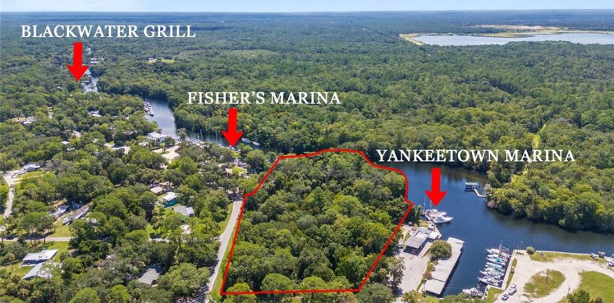 Land in Yankeetown, Florida № 1886494