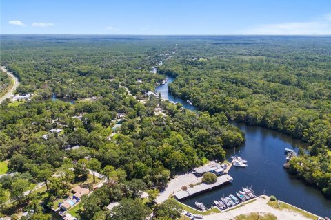 Land in Yankeetown, Florida № 1886494 - photo 8