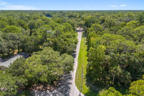 Land in Yankeetown, Florida № 1886494 - photo 19