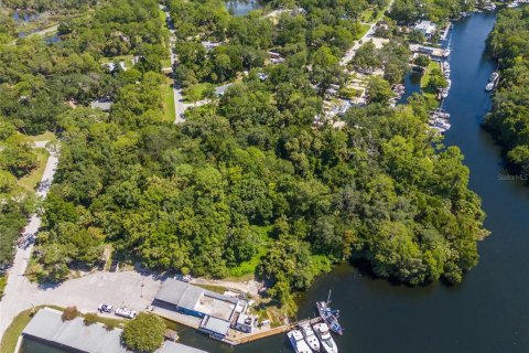 Land in Yankeetown, Florida № 1886494 - photo 18