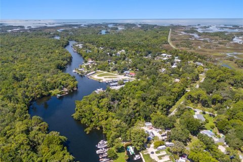 Land in Yankeetown, Florida № 1886494 - photo 11