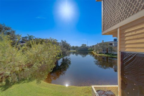 Condominio en alquiler en Saint Petersburg, Florida, 2 dormitorios, 72.46 m2 № 1912042 - foto 13