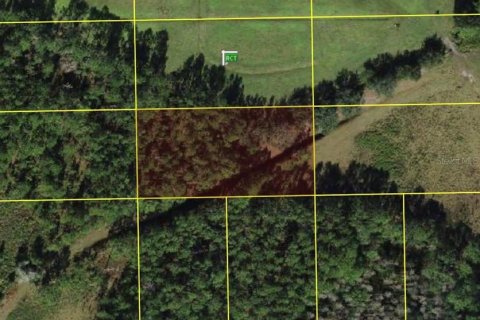 Terrain à Polk City, Floride № 2204373