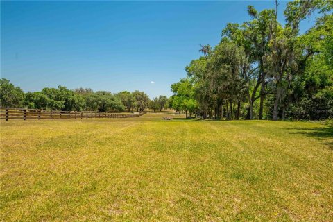Land in Floral City, Florida № 1673517 - photo 28