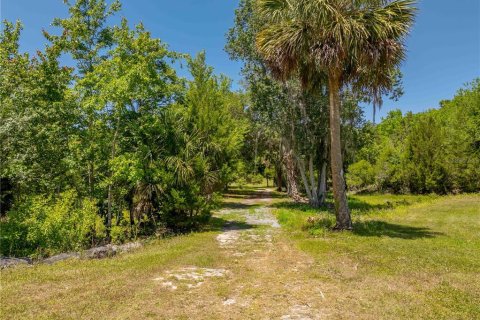 Land in Floral City, Florida № 1673517 - photo 15
