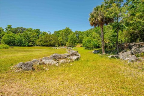 Land in Floral City, Florida № 1673517 - photo 26