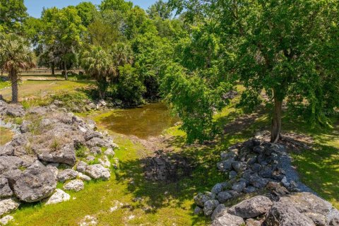 Land in Floral City, Florida № 1673517 - photo 12