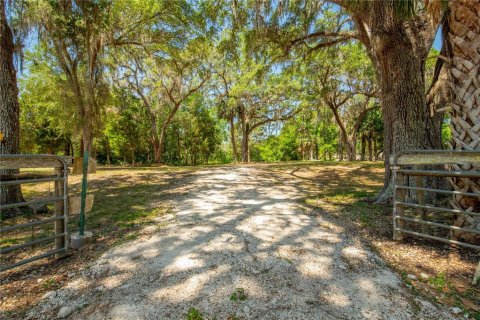 Land in Floral City, Florida № 1673517 - photo 21