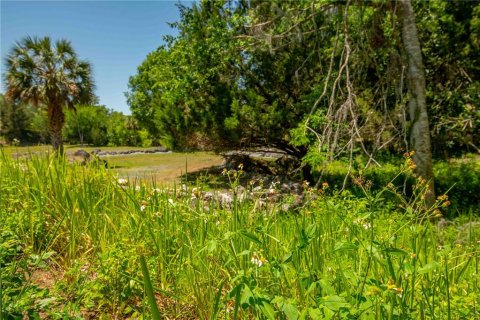 Land in Floral City, Florida № 1673517 - photo 29