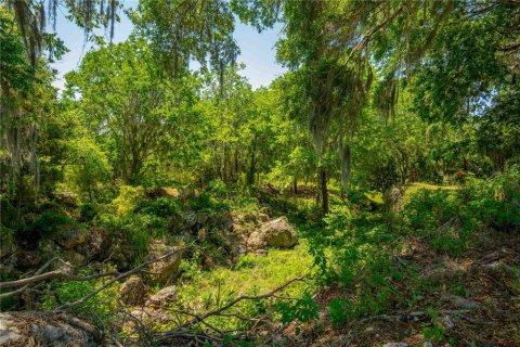 Land in Floral City, Florida № 1673517 - photo 27