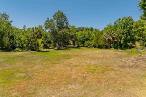 Land in Floral City, Florida № 1673517 - photo 11