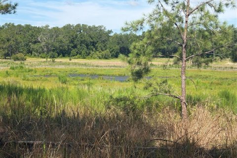 Land in Ocklawaha, Florida № 2203713 - photo 2