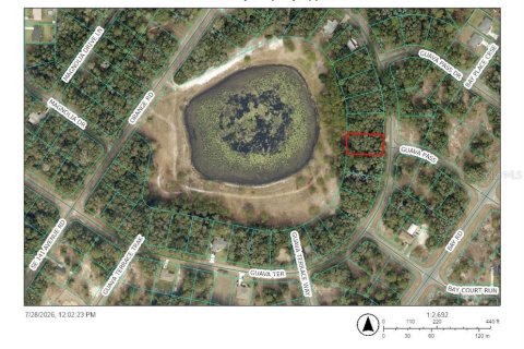 Land in Ocklawaha, Florida № 2203713 - photo 3