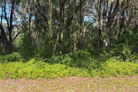 Land in Ocklawaha, Florida № 2203713