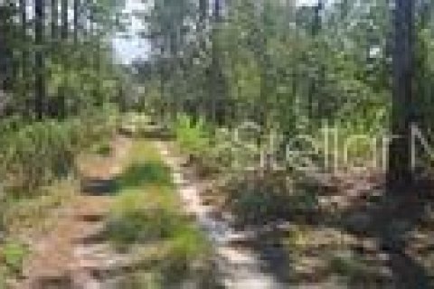Купить земельный участок в Бронсон, Флорида № 2165579 - фото 3
