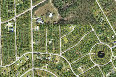 Land in Punta Gorda, Florida № 2159460 - photo 2