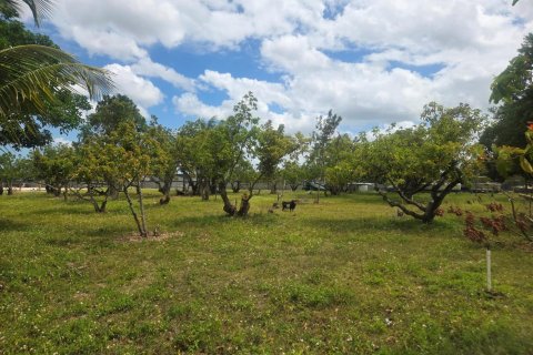 Propiedad comercial en venta en Homestead, Florida № 2077809 - foto 23
