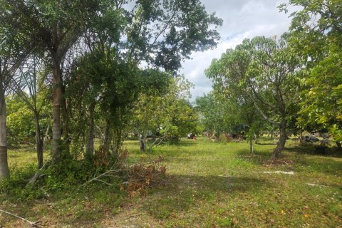 Propiedad comercial en venta en Homestead, Florida № 2077809 - foto 22