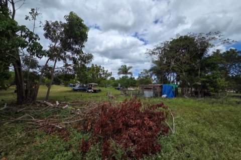 Propiedad comercial en venta en Homestead, Florida № 2077809 - foto 11