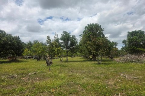 Propiedad comercial en venta en Homestead, Florida № 2077809 - foto 24