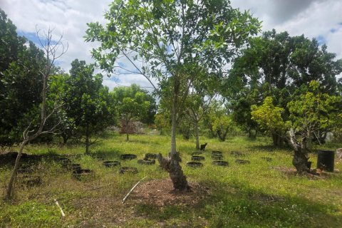 Propiedad comercial en venta en Homestead, Florida № 2077809 - foto 28