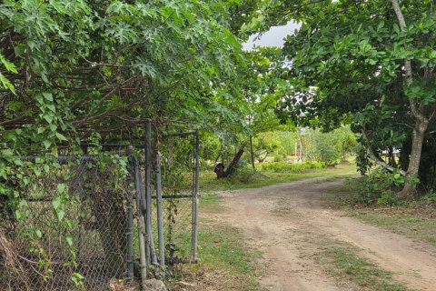 Propiedad comercial en venta en Homestead, Florida № 2077809 - foto 5