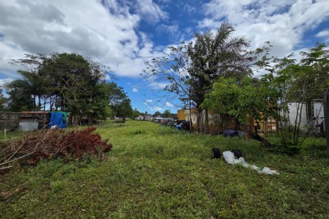 Propiedad comercial en venta en Homestead, Florida № 2077809 - foto 10