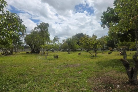 Propiedad comercial en venta en Homestead, Florida № 2077809 - foto 25
