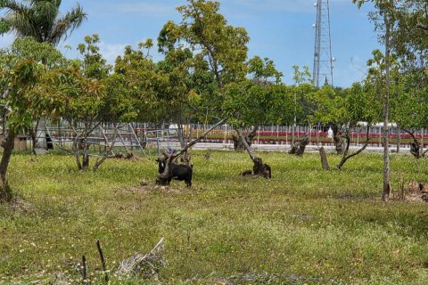 Propiedad comercial en venta en Homestead, Florida № 2077809 - foto 18