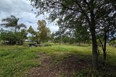 Propiedad comercial en venta en Homestead, Florida № 2077809 - foto 15