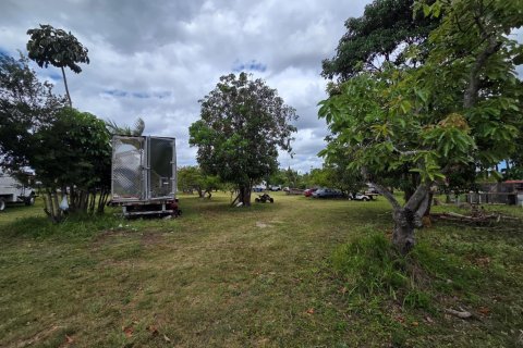 Propiedad comercial en venta en Homestead, Florida № 2077809 - foto 9