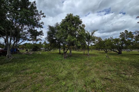 Propiedad comercial en venta en Homestead, Florida № 2077809 - foto 14