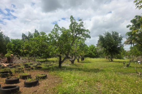Propiedad comercial en venta en Homestead, Florida № 2077809 - foto 27