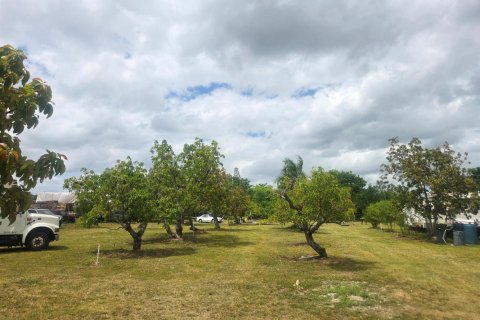 Propiedad comercial en venta en Homestead, Florida № 2077809 - foto 21