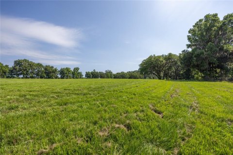 Land in High Springs, Florida № 1245979 - photo 25
