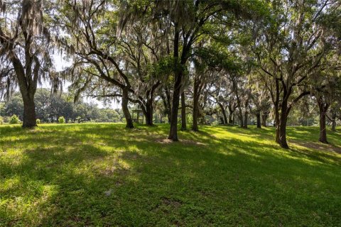 Land in High Springs, Florida № 1245979 - photo 14