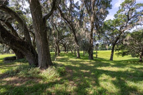 Land in High Springs, Florida № 1245979 - photo 10