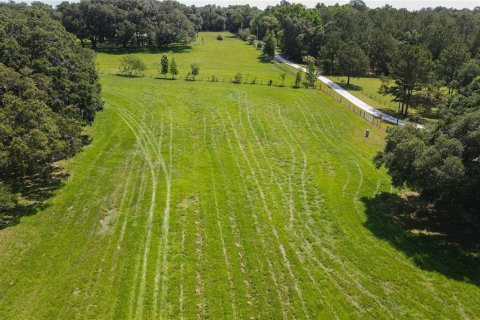 Land in High Springs, Florida № 1245979 - photo 24