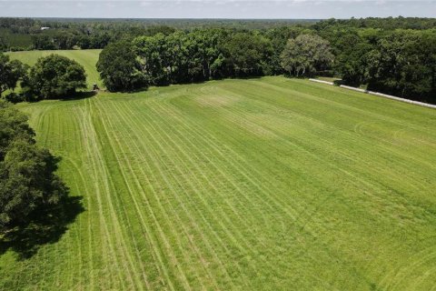 Land in High Springs, Florida № 1245979 - photo 26