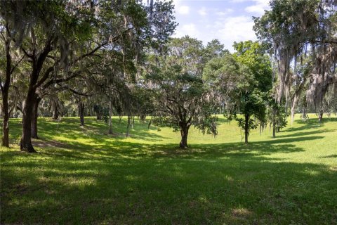 Land in High Springs, Florida № 1245979 - photo 12