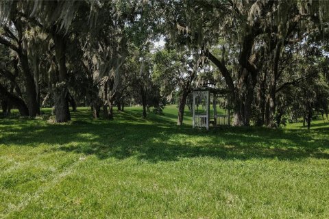 Land in High Springs, Florida № 1245979 - photo 7