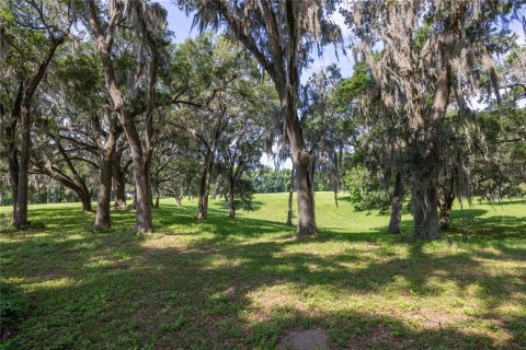 Land in High Springs, Florida № 1245979 - photo 8