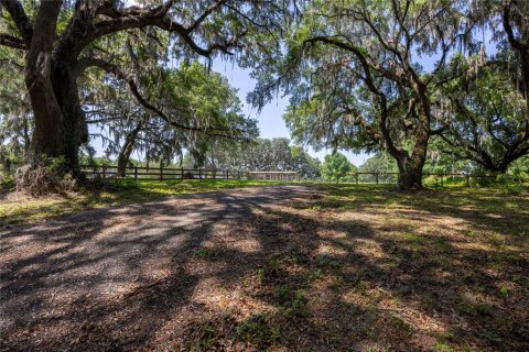 Land in High Springs, Florida № 1245979 - photo 2