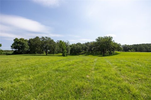 Land in High Springs, Florida № 1245979 - photo 17