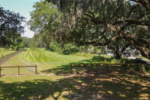 Land in High Springs, Florida № 1245979 - photo 3