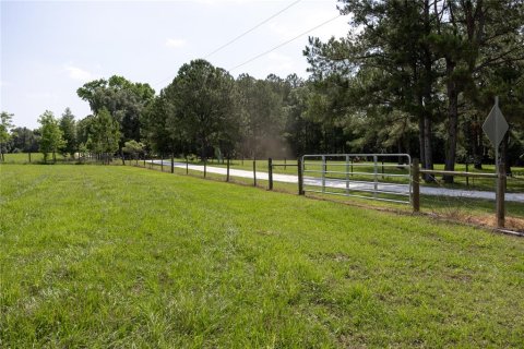 Land in High Springs, Florida № 1245979 - photo 21