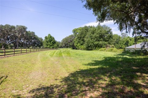 Land in High Springs, Florida № 1245979 - photo 4