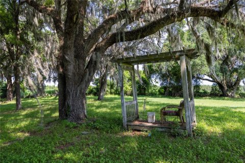 Land in High Springs, Florida № 1245979 - photo 9