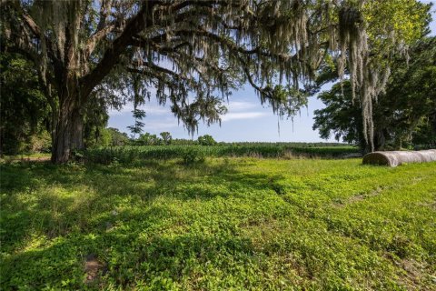 Land in High Springs, Florida № 1245979 - photo 19